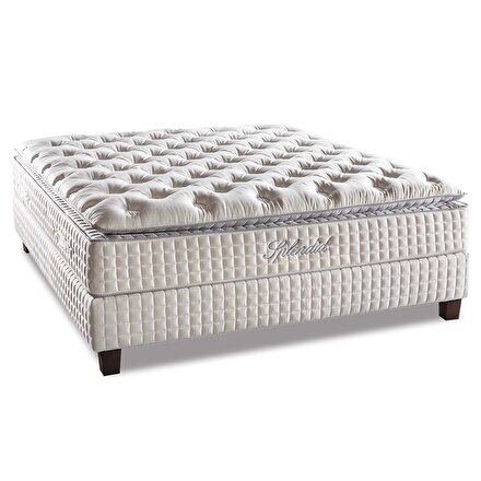 Serta Splendid Yatak Yatsan
