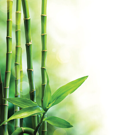 Yatsan Maison Bamboo Touch Bebek Yastık